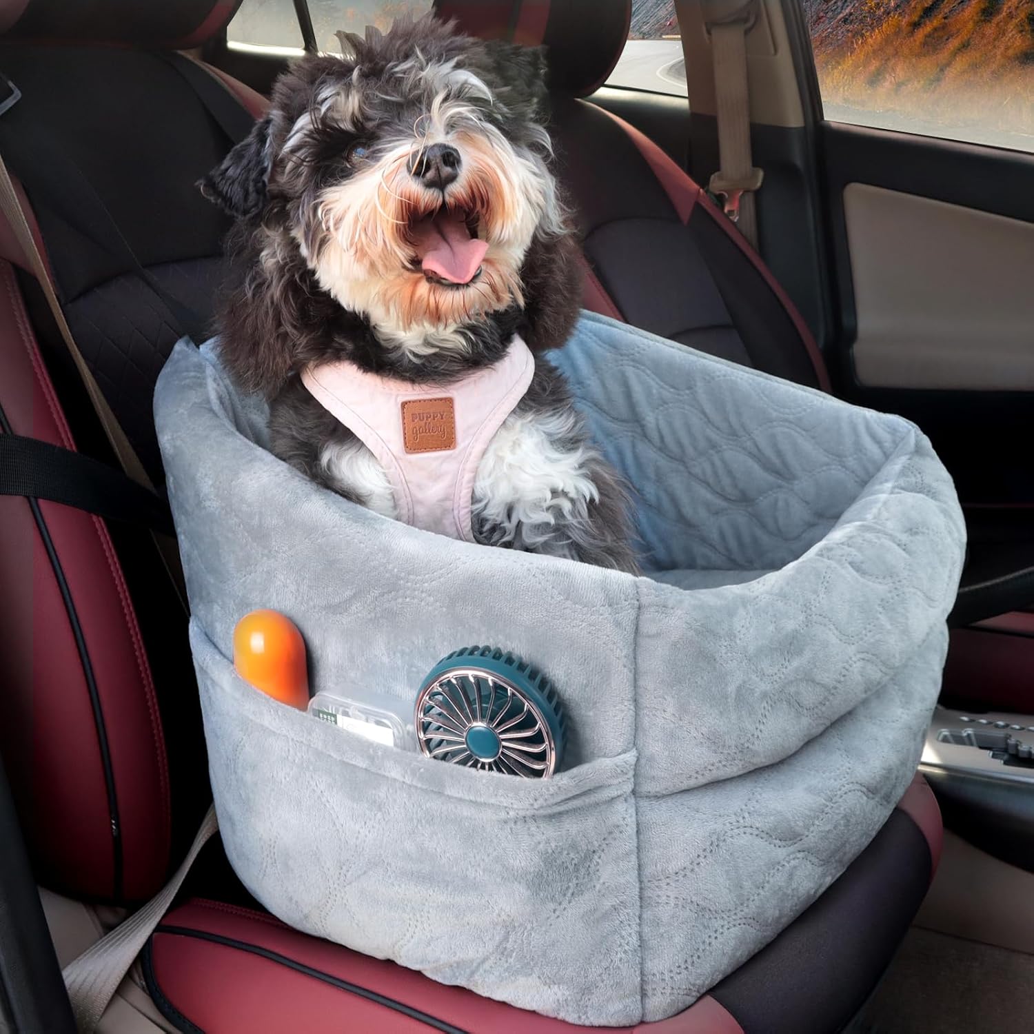 Dog Car Seats for Small Dogs up to 25lbs, Washable Dog Booster Car Seat with Memory Foam Cushion and Safety Leash, Front/Back Pet Car Seat Bed with Storage Pockets for Travel