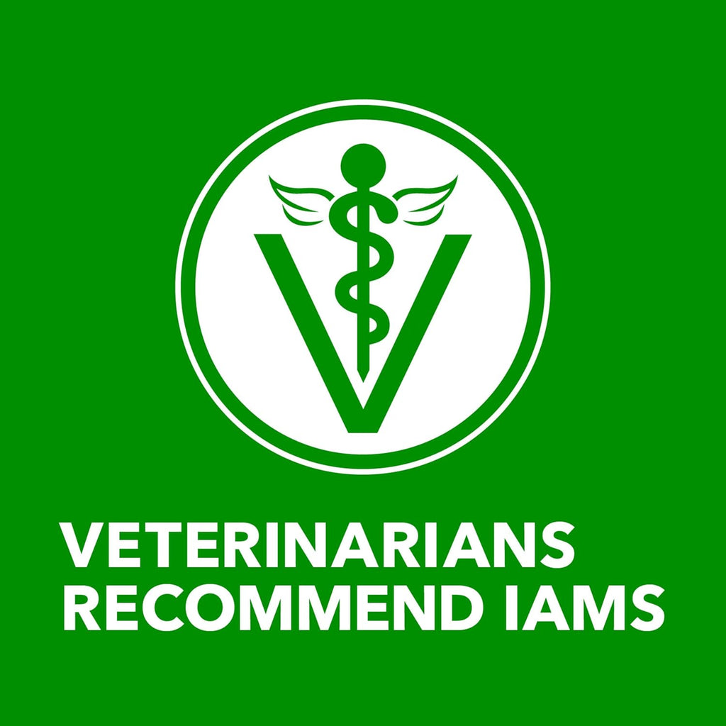 Iams Proactive Health Adult Wet Dog Food Chicken & Rice, 13 oz (Pack of 24) A97486