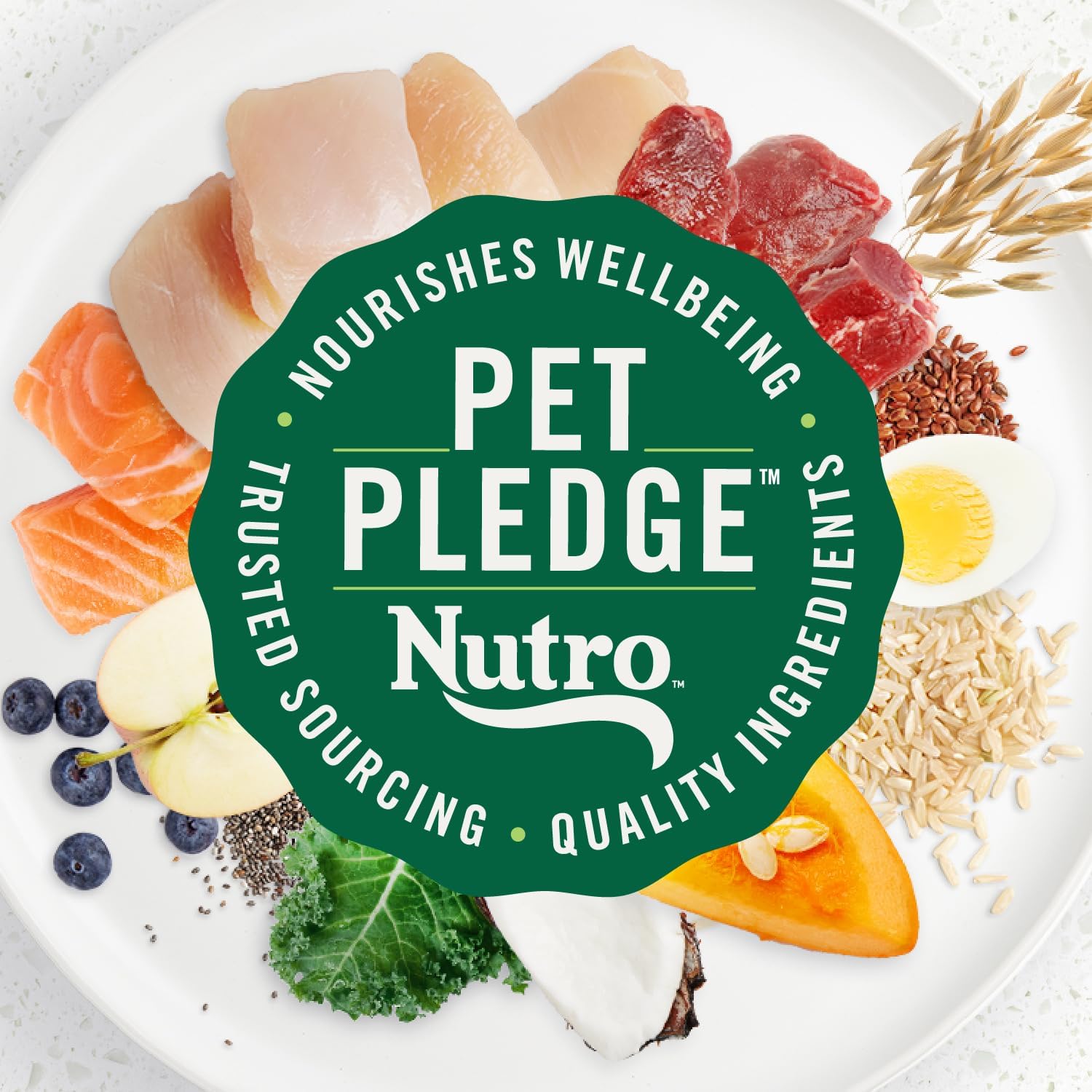 NUTRO ULTRA Adult Small Breed High Protein Dry Dog Food, Chicken, Lamb & Salmon, 8 lb. Bag G326