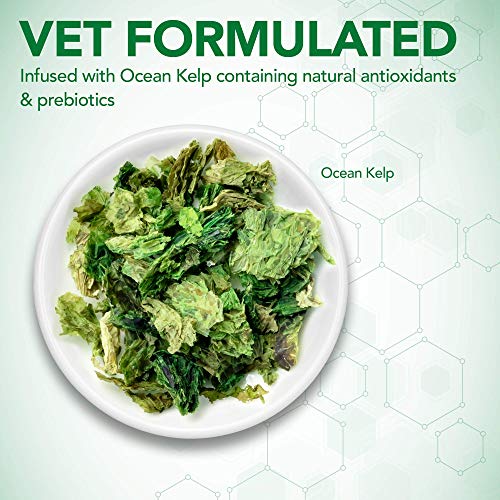 Vet's Best Probiotic Soft Chews Dog Supplement, 90 Day Supply Z925