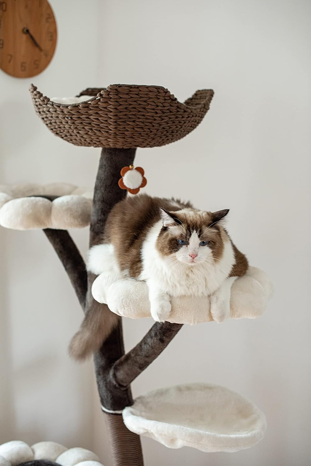 Catry Cat Tree Woodowoodo Cat Tower with Scratching Post and Hammock L2017