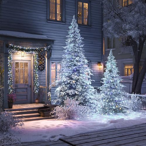 TW SHINE Halloween Lights 328FT Outdoor String Lights with Remote, Purple & Orange F53527