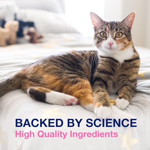 Proviable Multi-Strain Probiotic and Prebiotic Supplement for Cats and Dogs, 80 Capsules V613