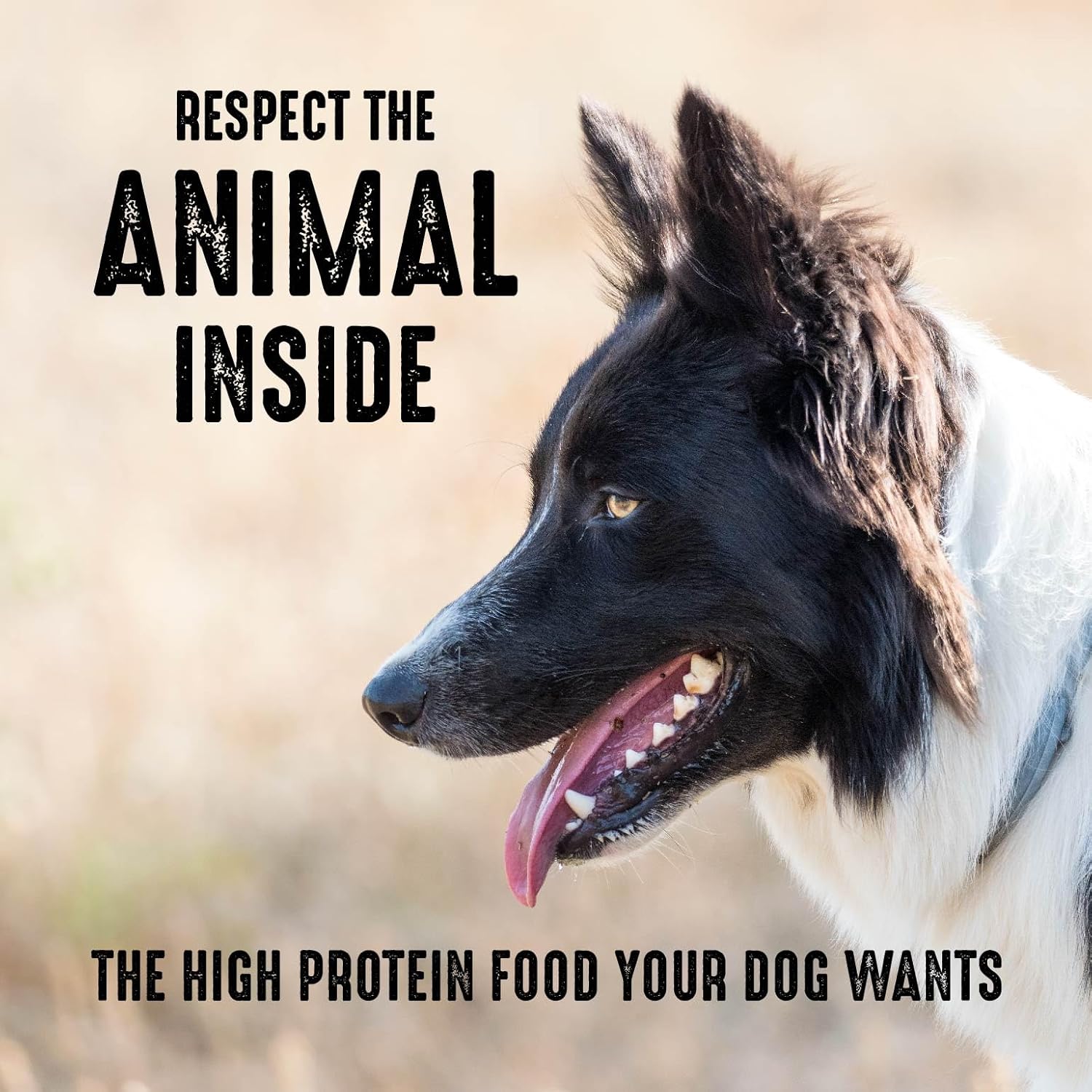 CRAVE Grain Free High Protein Adult Dry Dog Food, Chicken, 4 lb. Bag (Pack of 2) A89691