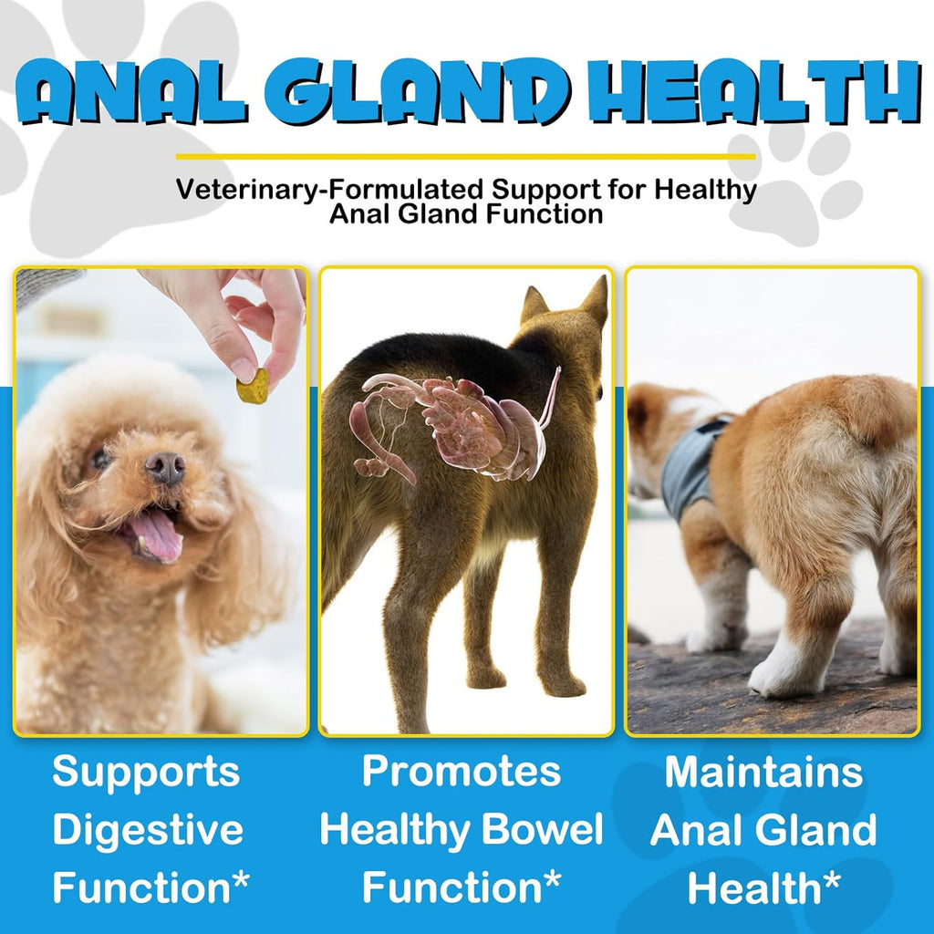 Anal Gland Support Soft Chews for Dogs with Pumpkin, 150 Count H197729