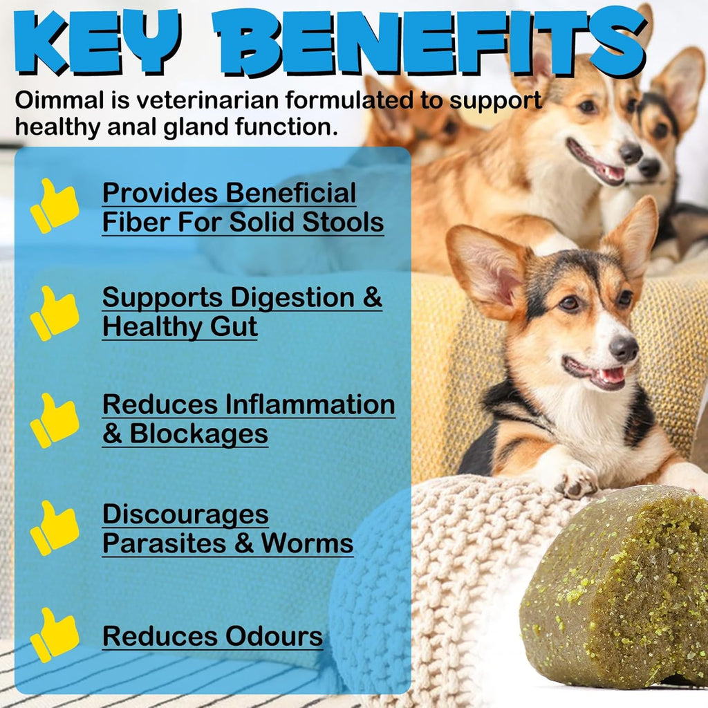 Anal Gland Support Soft Chews for Dogs with Pumpkin, 150 Count H197729