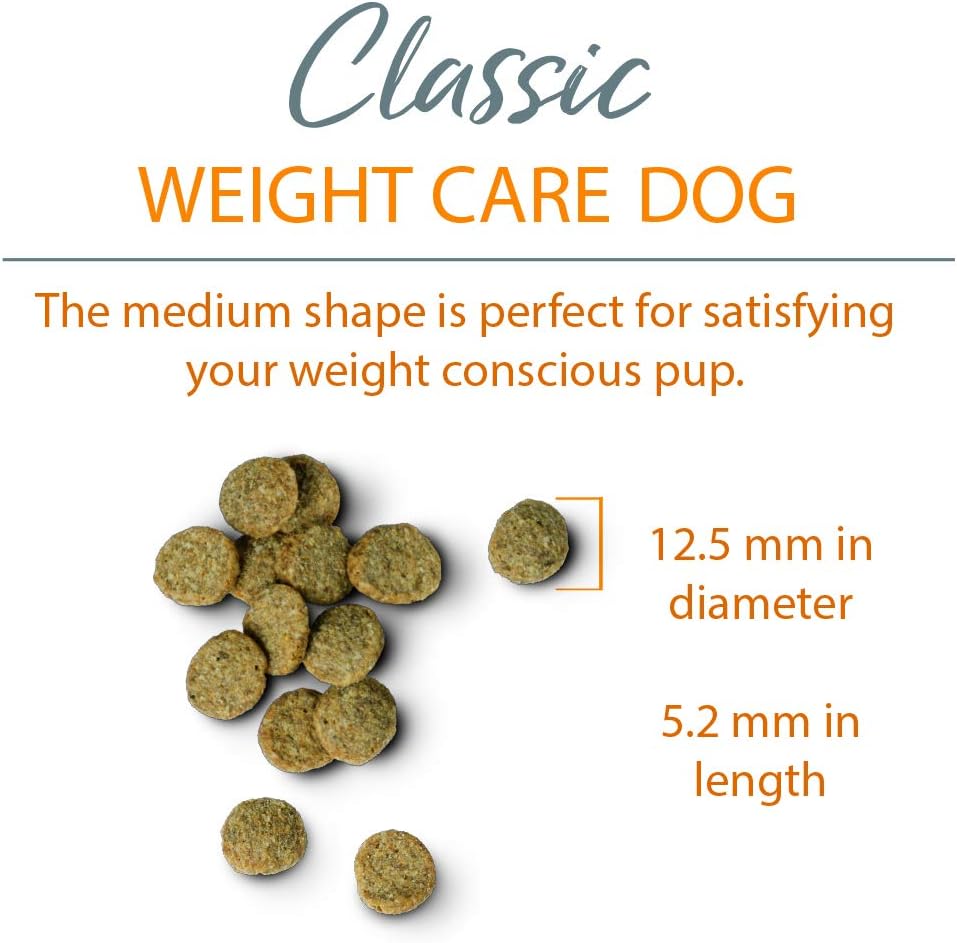 Chicken Soup for the Soul Grain Free Salmon & Sweet Potato Dry Dog Food, 4LB G572