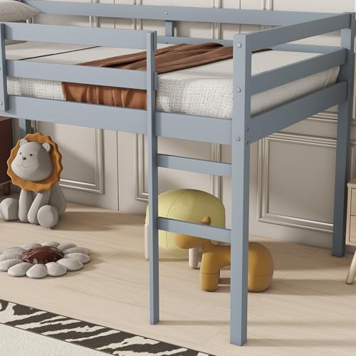 Twin Size Low Loft Bed with Ladder and Safety Guardrail, Solid Wood, White D5235