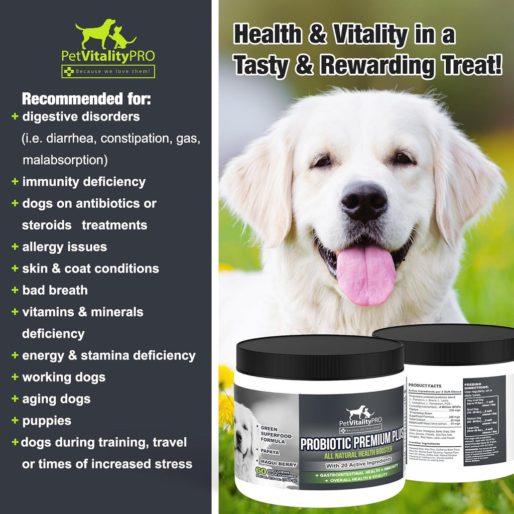 Probiotics for Dogs with Digestive Enzymes, 60 Soft Chews D1330