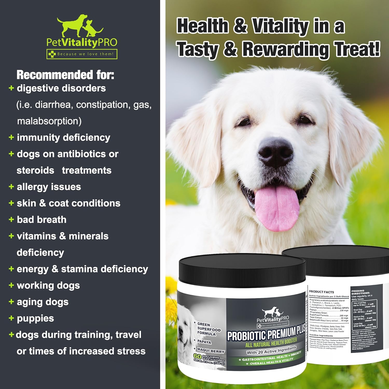 Probiotics for Dogs with Digestive Enzymes, 60 Soft Chews D1330