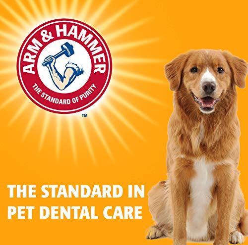 Arm & Hammer for Pets Dental Mints for Dogs, Fresh Breath, Chicken Flavor, 40 Count R206268