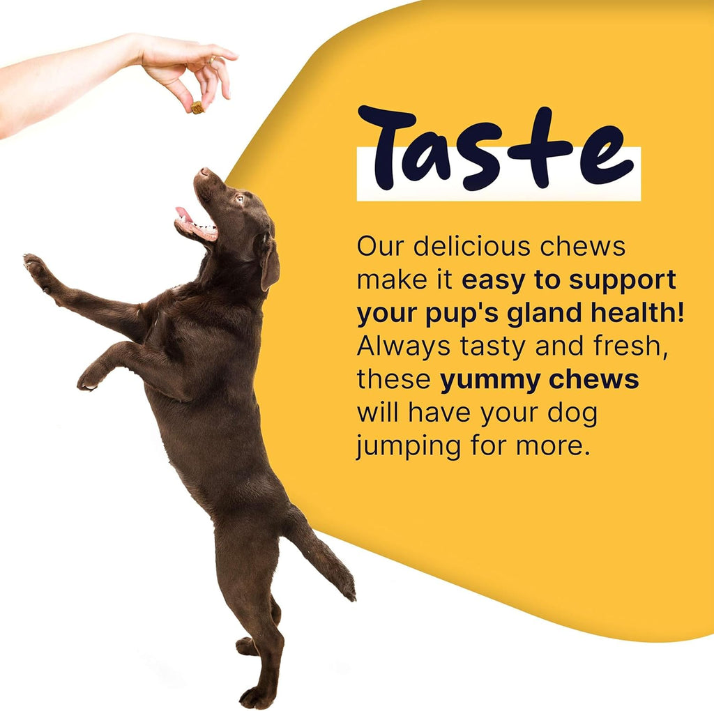 Glands Bowel Support Soft Chews for Dogs with Pumpkin Powder W38579