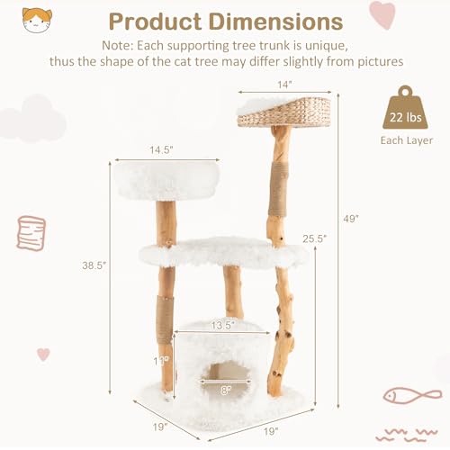 Tangkula Cat Tree for Indoor Cats, Solid Wood with Scratching Posts, 34 Inch Q6529