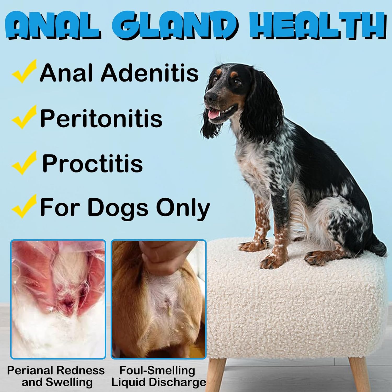 Anal Gland Support Soft Chews for Dogs with Pumpkin, 150 Count H197729