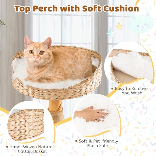 Tangkula Cat Tree for Indoor Cats, Solid Wood with Scratching Posts, 34 Inch Q6529