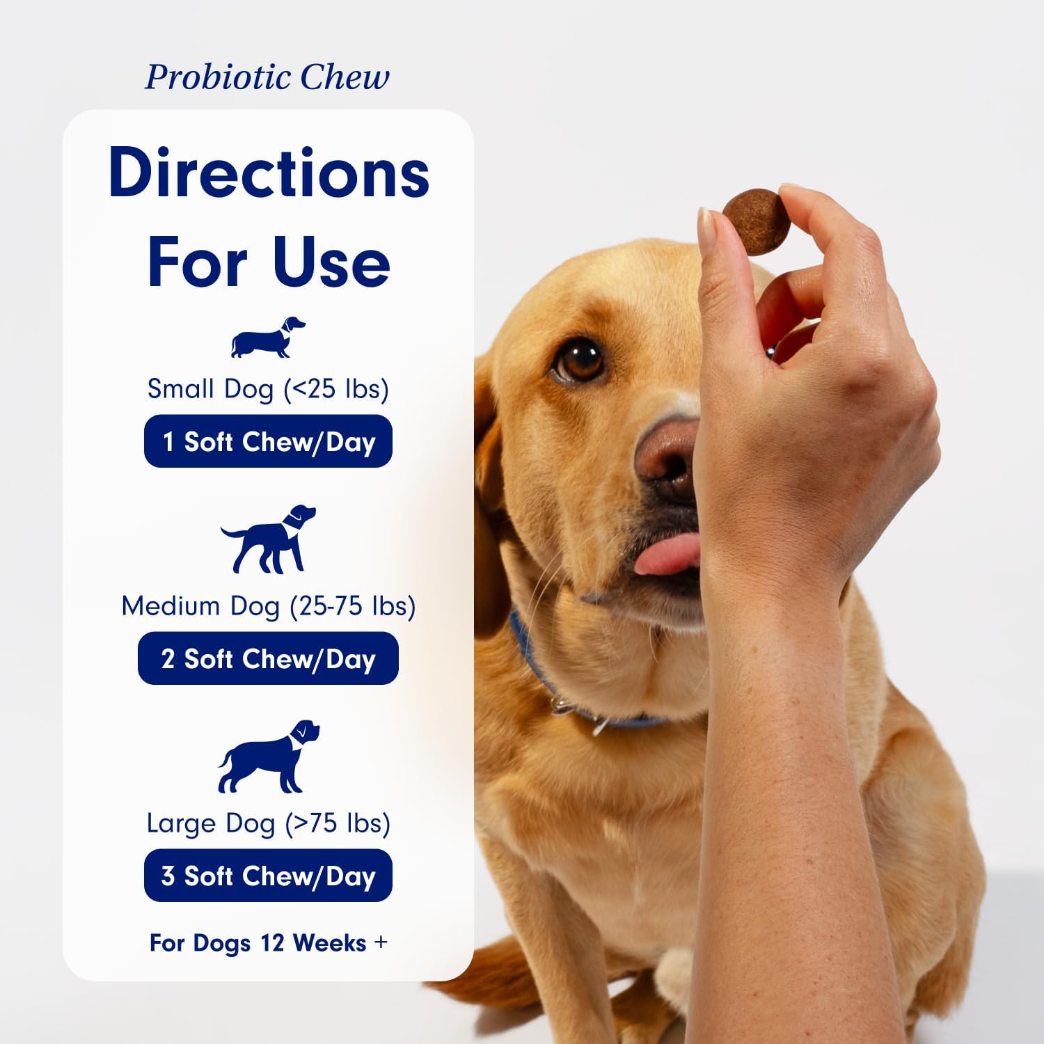 PetLab Co. Gut & Breath Bundle Dental Powder & Probiotics for Large Dogs Z749770