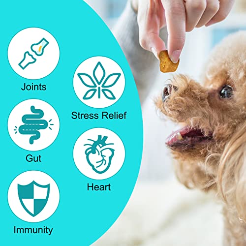 Calming Chews for Dogs with Hemp Oil, Chicken Flavor K673201