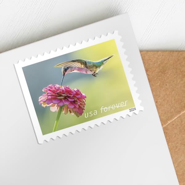 Garden Delights First-Class Mail Forever Postage Stamps Scott #5845-5848 H170831