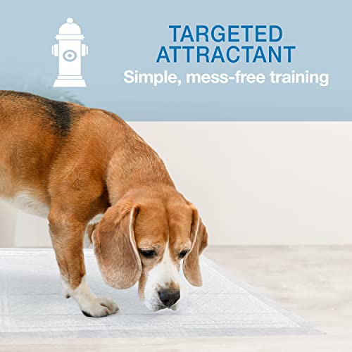 Four Paws Wee-Wee Super Absorbent Pee Pads for Dogs, Unscented, 22" x 23" (50 Count) P766631