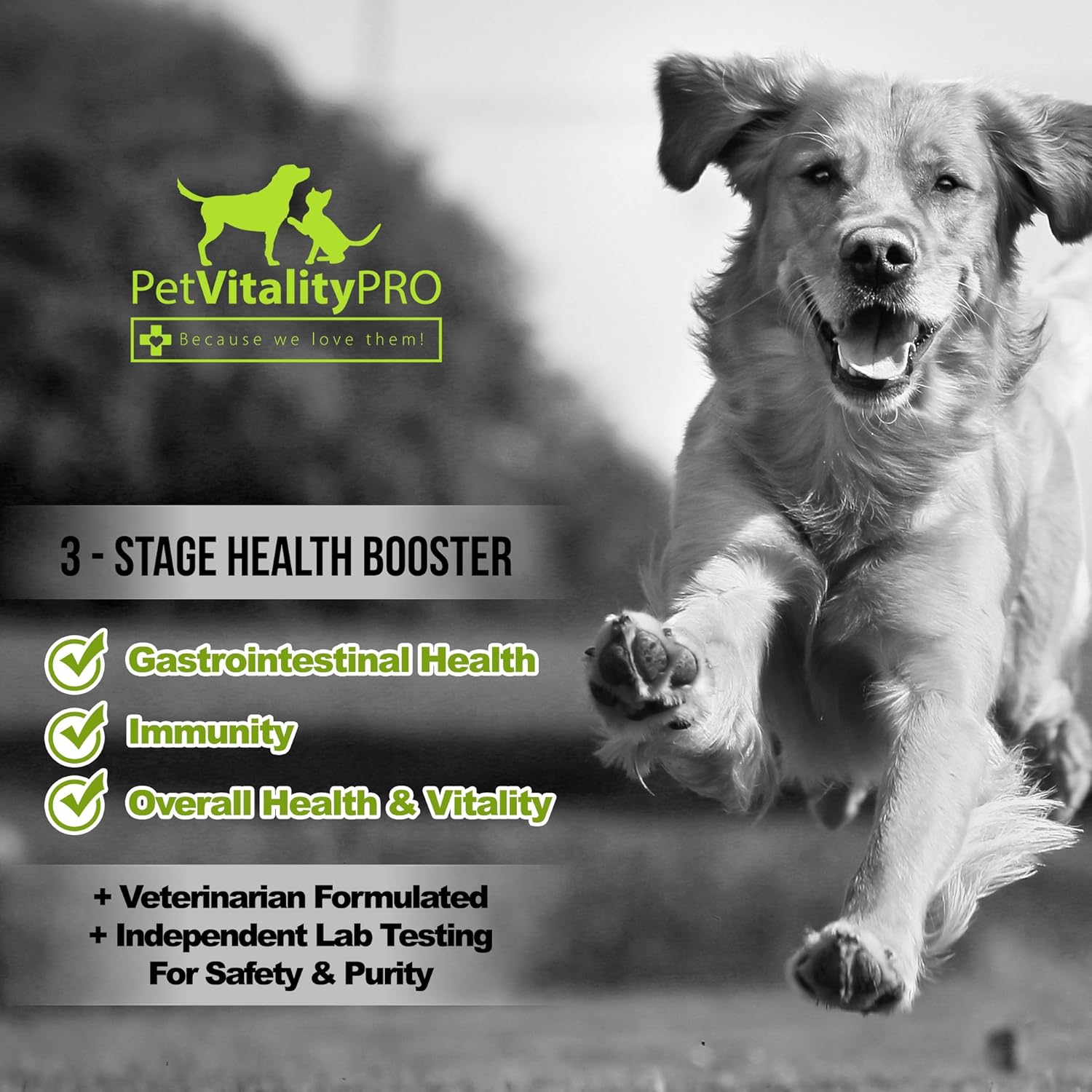 Probiotics for Dogs with Digestive Enzymes, 60 Soft Chews D1330