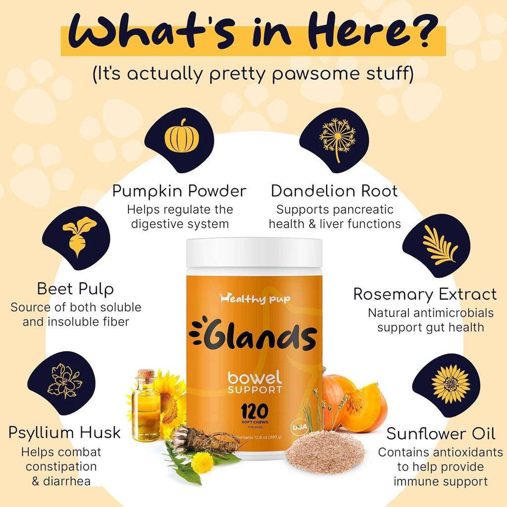 Glands Bowel Support Soft Chews for Dogs with Pumpkin Powder W38579