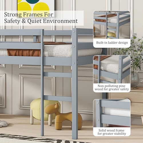 Twin Size Low Loft Bed with Ladder and Safety Guardrail, Solid Wood, White D5235