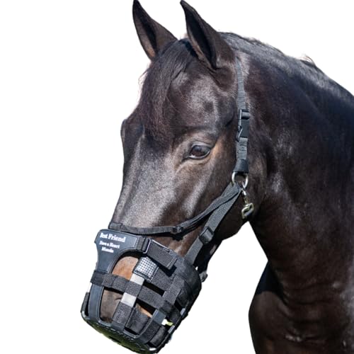 Best Friend Deluxe Have a Heart Grazing Muzzle for Horses - Heart Shaped Breakaway Horse Halter Attachment, Comfortable, Padded Noseband, Adjustable V Strap - Prevents Overgrazing, Large Horse Size