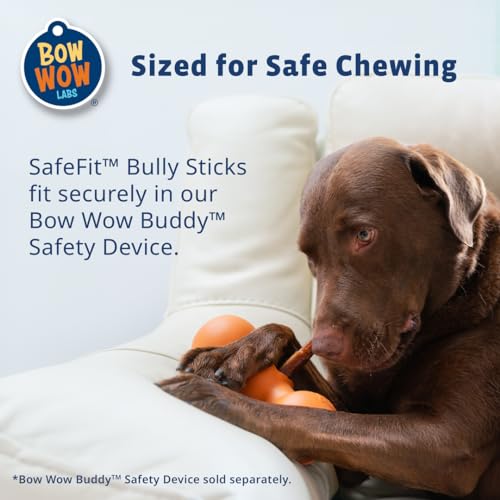 Bow Wow Labs 6" Beef Bully Sticks for Dogs - 10 Pack (Midsize) V501