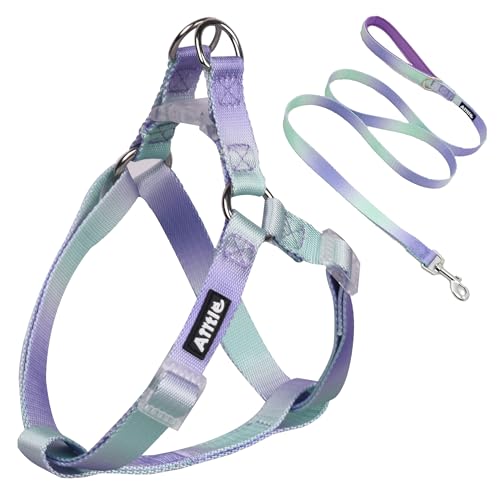 AIITLE Dog Harness Easy On and Off - Step in Adjustable Pet Harness with A Leash -No Pull Escape Proof Halter Harness with Quick-Release Buckle - Walking Running for Medium Dogs,Pink-Purple Gradient M