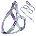 AIITLE Dog Harness Easy On and Off - Step in Adjustable Pet Harness with A Leash -No Pull Escape Proof Halter Harness with Quick-Release Buckle - Walking Running for Medium Dogs,Pink-Purple Gradient M
