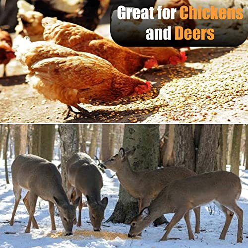 Premium Coarse Cracked Corn for Deer, Chickens and Wildlife, 50 lbs M40083