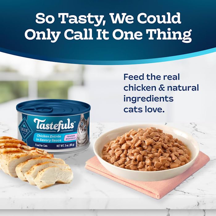 Blue Buffalo Tastefuls Natural Tender Morsels Wet Cat Food Chicken Entrée, 5.5-oz cans (24-pack) S7931