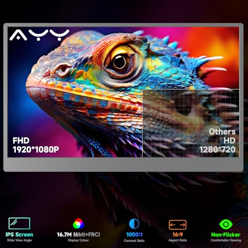 Portable Monitor 15.6 Inch 1080P IPS HDR USB HDMI for Laptop PC Mac G166