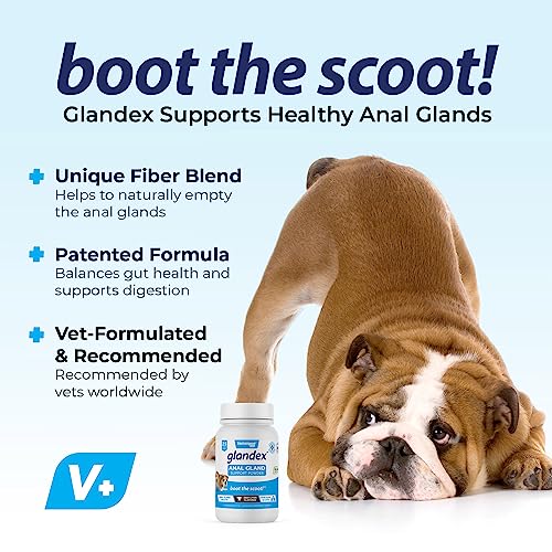 Vetnique Labs Glandex Anal Gland Fiber Supplement Powder for Dogs & Cats, Pumpkin & Digestive Enzymes, 2.5oz P53004