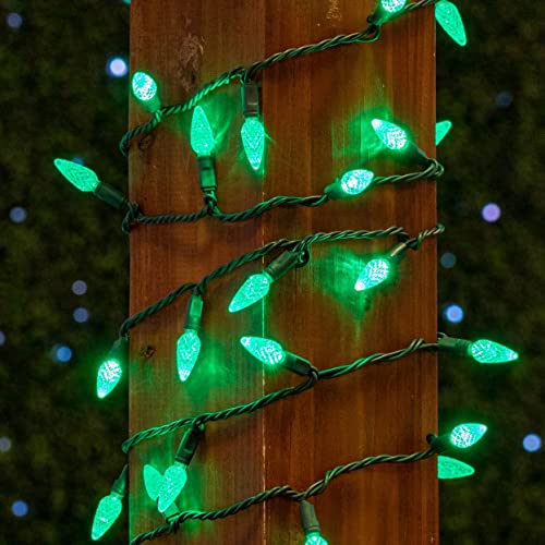 Novelty Lights 24ft 70 LED Purple/Lime Green Halloween String Lights L643884