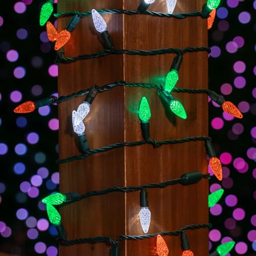 Novelty Lights 24ft 70 LED Purple/Lime Green Halloween String Lights L643884
