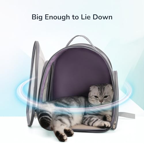 Cat Bubble Backpack, Airline Approved Pet Carrier for Large Cats, Grey P382