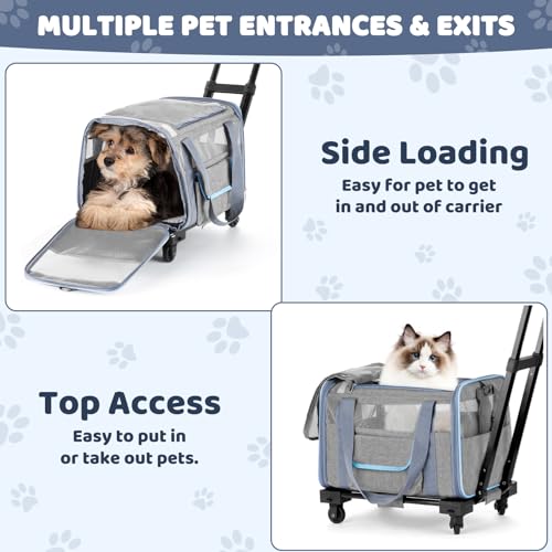 Pet Carrier for Small Dog Cat, Airline Approved Rolling Soft Sided Travel Bag Q516059