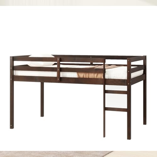 Twin Size Low Loft Bed with Ladder and Safety Guardrail, Solid Wood, White D5235