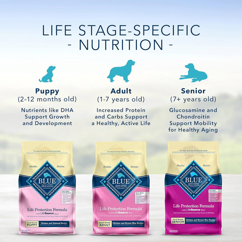 Blue Buffalo Life Protection Formula Senior Small Breed Dry Dog Food, Chicken and Brown Rice 6-lb D433303