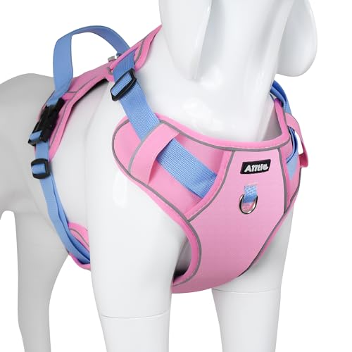 AIITLE Adjustable Dog Harness with Padded for All Weather, No Pull Pet Harness with Waterproof Wear-Resisting Oxford Fabric, Reflective Escape Proof Vest Harness for Small and Medium Dogs Pink S