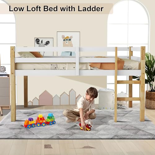 Twin Size Low Loft Bed with Ladder and Safety Guardrail, Solid Wood, White D5235