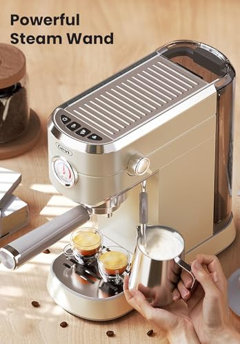 Gevi Espresso Machine 20 Bar with Auto Milk Frother, Stainless Steel D6478