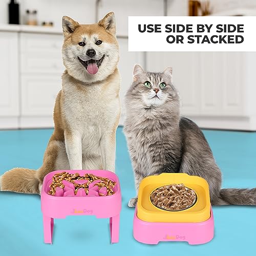 SunDog 2-in-1 Elevated Slow Feeder Dog Bowls with Stand, Stainless Steel, for Small Dogs and Cats A73286