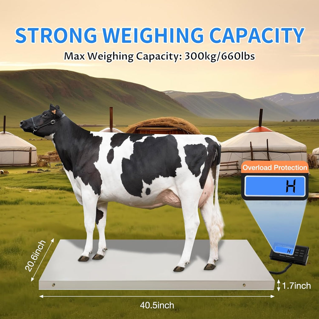 Veterinary Scale Digital Pet Scale Max 660lbs Heavy Duty Livestock Scale with Power Adapter W176
