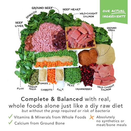 Simple Food Project Freeze Dried Raw Dog Food Topper 16 Organic Human Grade Ingredients 3 Pack A546930
