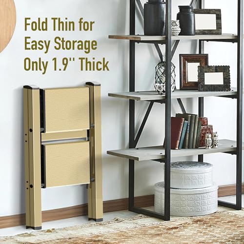 2 Step Lightweight Aluminum Folding Ladder with Anti-Slip Pedals, 330 lbs Capacity D5199