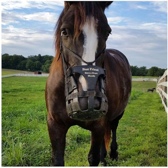 Deluxe Have a Heart Grazing Muzzle for Horses, Padded Noseband, Adjustable V Strap, Large C148