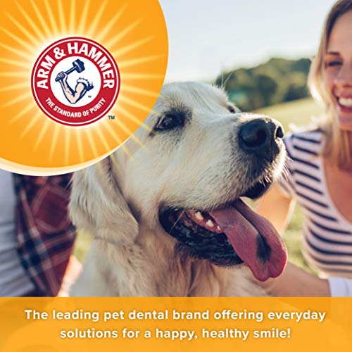 Arm & Hammer for Pets Dental Mints for Dogs, Fresh Breath, Chicken Flavor, 40 Count R206268