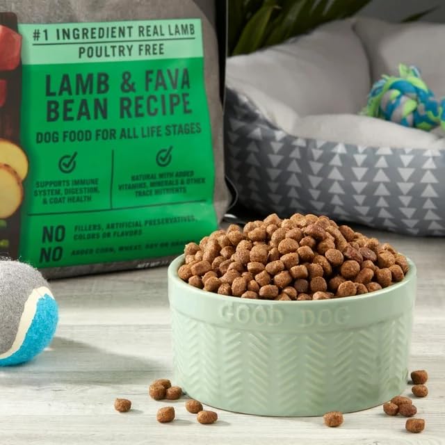Pure Balance Grain-Free Dry Dog Food, Lamb & Fava Bean, 11 Lbs T5109